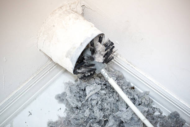 Best Home Air Vent Cleaning  in Rice Lake, WI