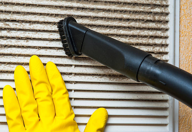 Best Ductwork Cleaning Services  in Rice Lake, WI